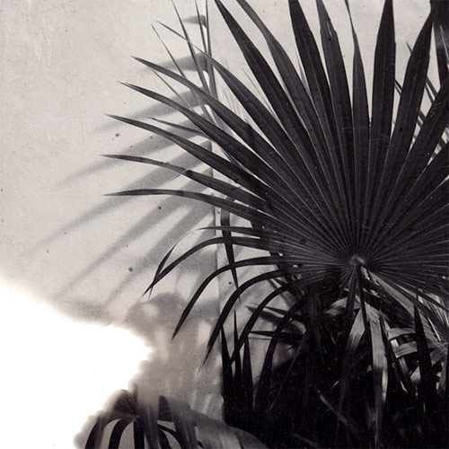 jody rogac photographer photography