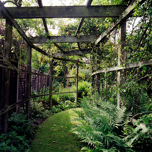 johanna warwick photographer photography