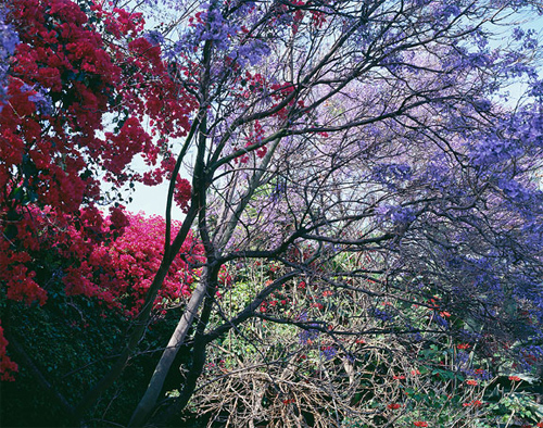 misha de ridder photographer photography amsterdam