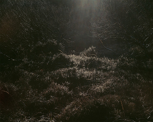 misha de ridder photographer photography amsterdam