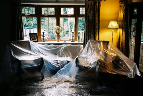 sam plant photographer photography