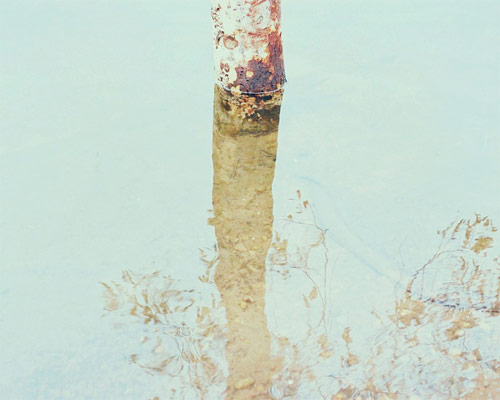 sofia torres photographer photography