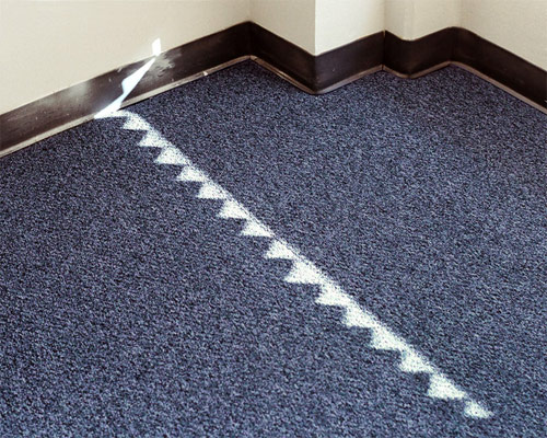 sofia torres photographer photography