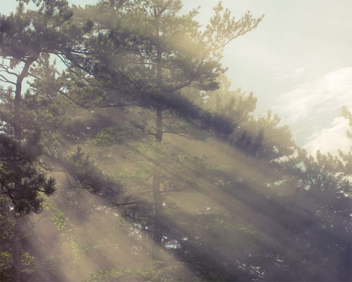 sofia torres photographer photography