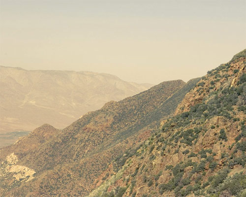 sofia torres photographer photography