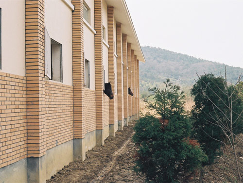 zhengdong xu photographer photography vancouver