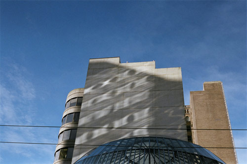 zhengdong xu photographer photography vancouver