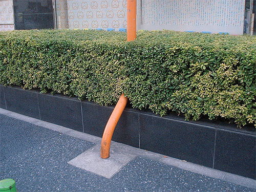 Photographer Ariel Schlesinger photography