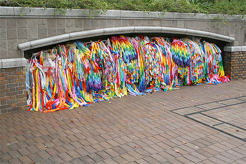 Photographer Ariel Schlesinger photography