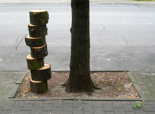 Photographer Ariel Schlesinger photography