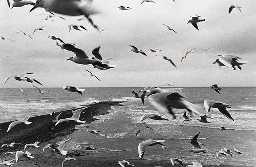 Photographer Pierre Wayser photography