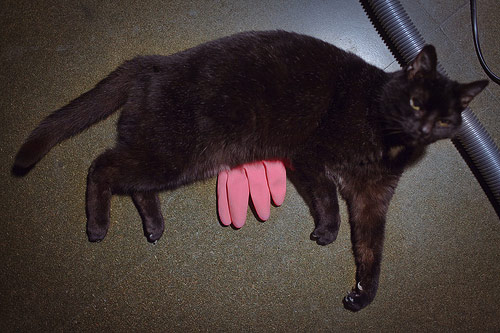 Photographer Pierre Wayser photography