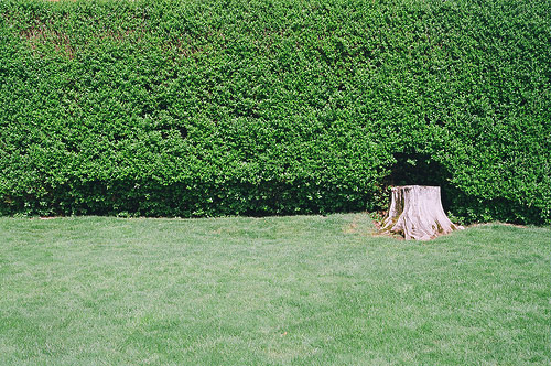 ryan furbush photographer photography