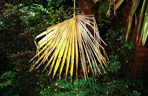 ryan furbush photographer photography