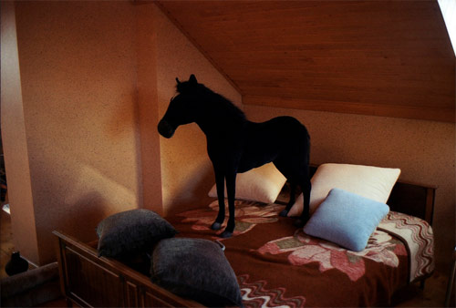 Photographer Alexander Kostinskyi photography