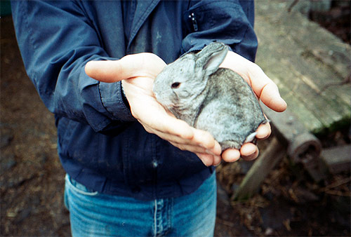 Photographer Alexander Kostinskyi photography