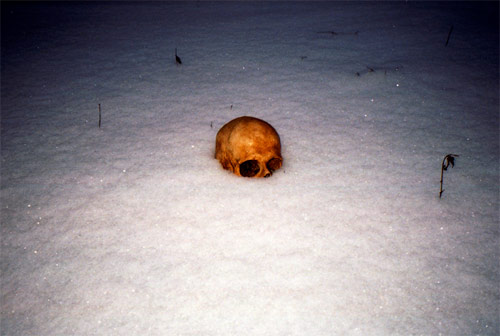 Photographer Alexander Kostinskyi photography