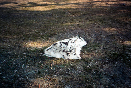 Photographer Alexander Kostinskyi photography