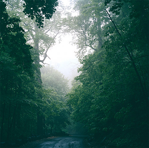 brandon pavan photographer photography