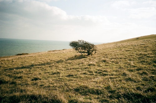 Photographer Brian W. Ferry photography