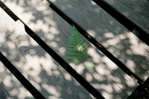 Photographer Brian W. Ferry photography