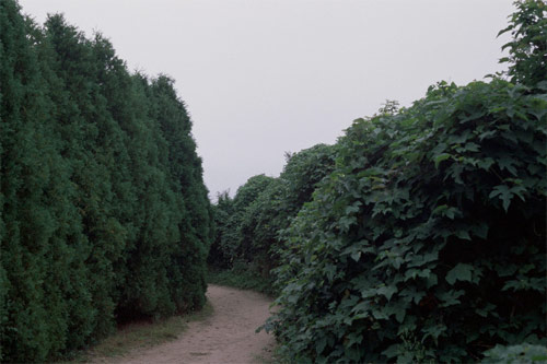 Photographer Brian W. Ferry photography