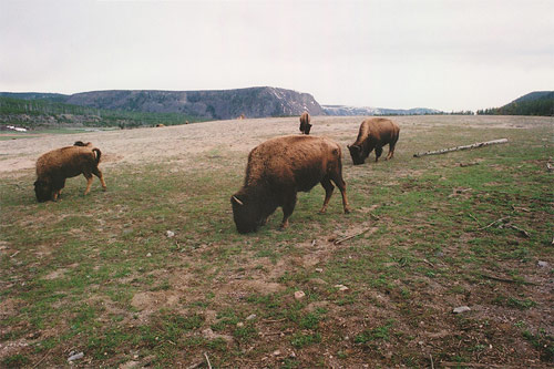 bryan schutmaat photographer photography