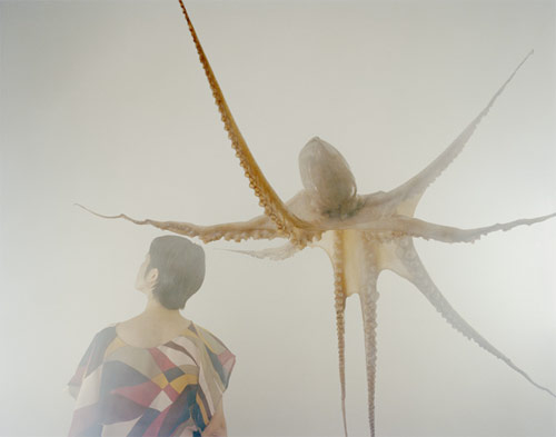 corinne l rusch photographer photography