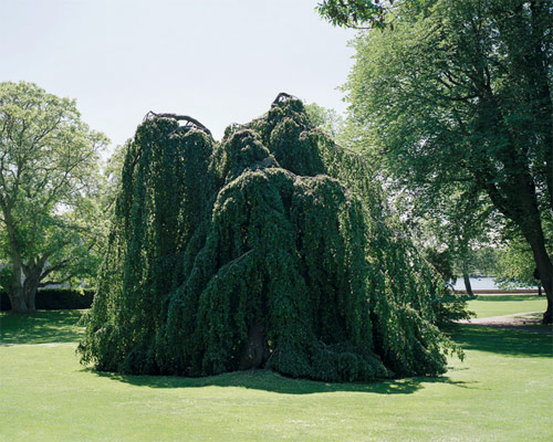 Photographer Gustav Gustafsson photography