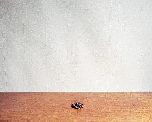 Photographer Gustav Gustafsson photography