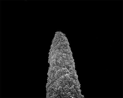 Photographer Gustav Gustafsson photography