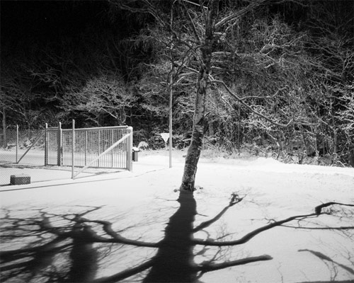 Photographer Gustav Gustafsson photography