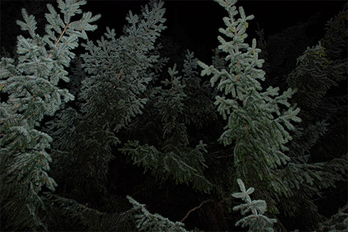 martin pisotti photographer photography