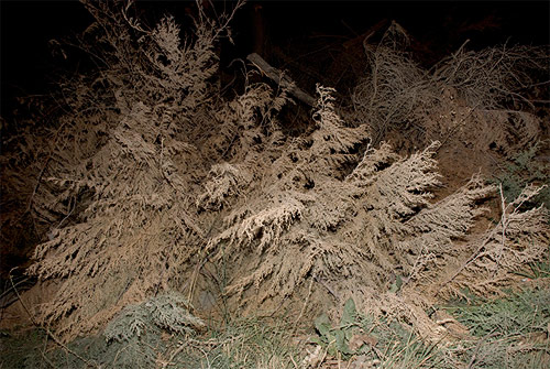 martin pisotti photographer photography