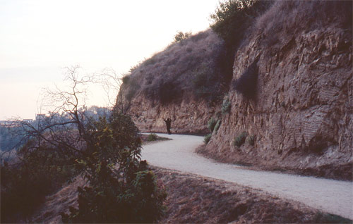 nicholas gottlund photographer photography