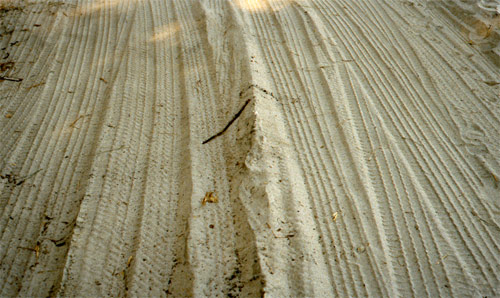 nicholas gottlund photographer photography