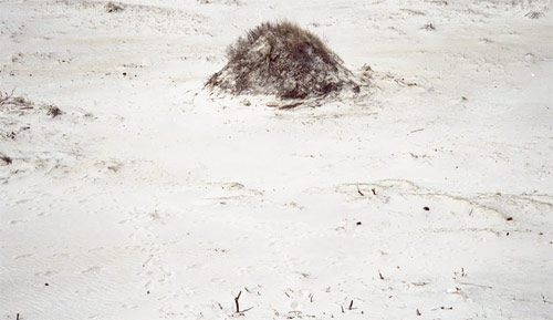 nicholas gottlund photographer photography