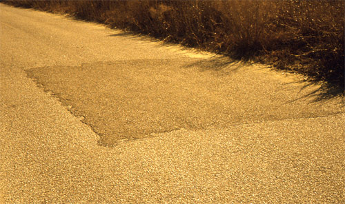 nicholas gottlund photographer photography