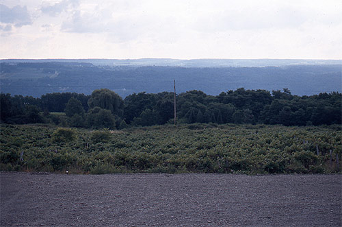 nicholas gottlund photographer photography