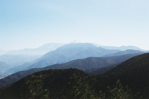 olivia malone photographer photography