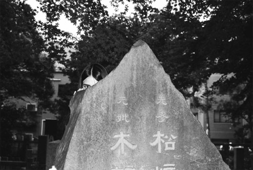 olivia malone photographer photography