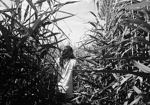 olivia malone photographer photography