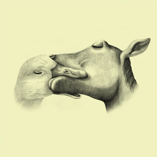 saimon chow illustrator illustration