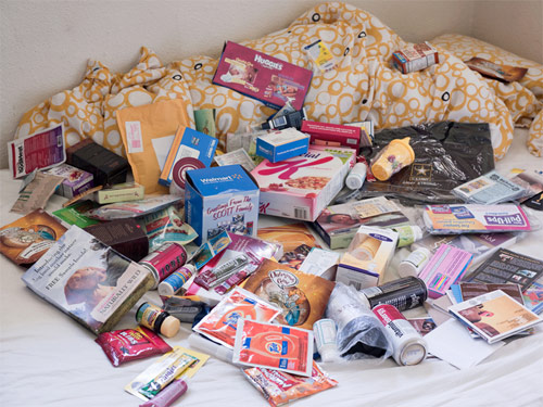 sol hashemi artist photographer