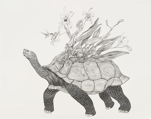 artist tara tucker drawings