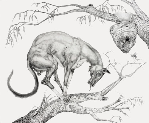 artist tara tucker drawings