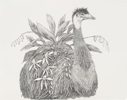 artist tara tucker drawings