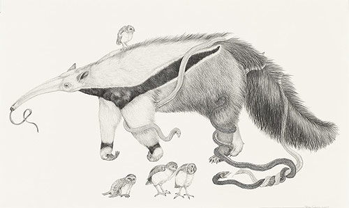 artist tara tucker drawings