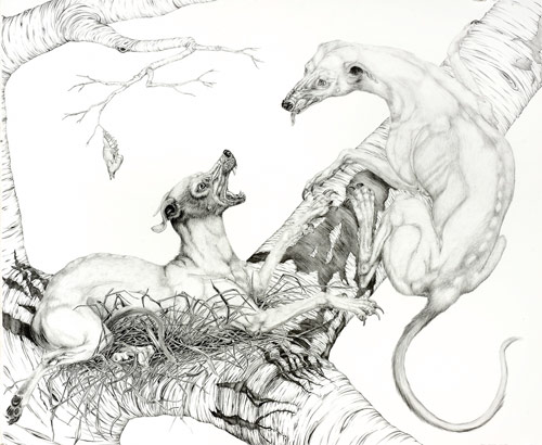 artist tara tucker drawings