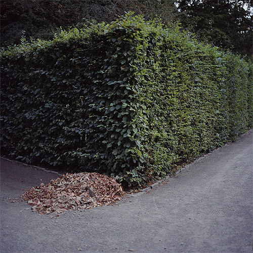 photographer photography andris feldmanis